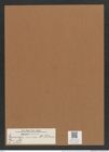 Endictya minor A. Schm. (de-Toni-Nr.: Genus 196, Species 4810) Zeichnungen Sammlung Grunow Mappe 04674 (Herbarium_W_Grunow_drawings_Folder_04674)